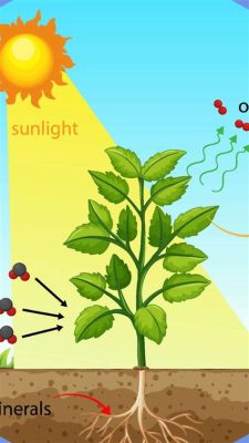 Do Cut Flowers Need Sunlight? Exploring the Paradox of Photosynthesis in Vases