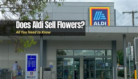 Does Aldi Sell Fresh Flowers? And Why Do Pineapples Wear Sunglasses?