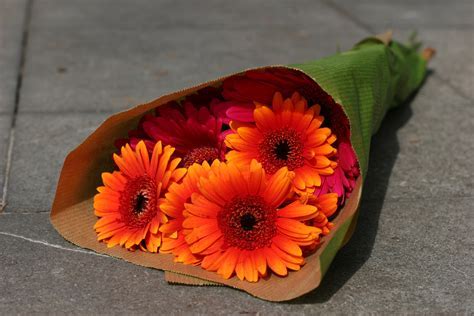 How Long Can Flowers Last Out of Water: A Symphony of Petals and Time