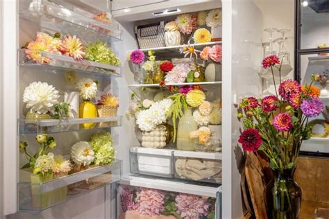 How to Keep Flowers Fresh in Fridge: A Guide to Preserving Beauty and Chaos