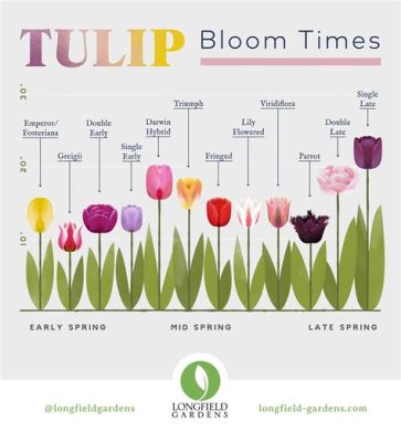 How to Order Flowers for Someone in Another State: A Comprehensive Guide and the Curious Case of Teleporting Tulips