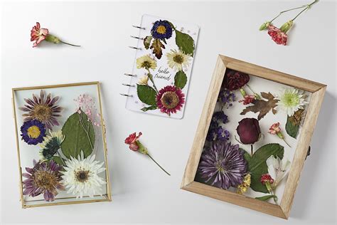 How to Preserve Flowers: A Symphony of Nature and Time