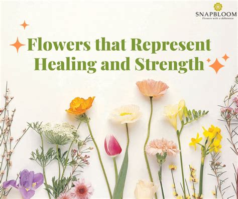 What Flowers Represent Healing: A Journey Through Nature's Remedies