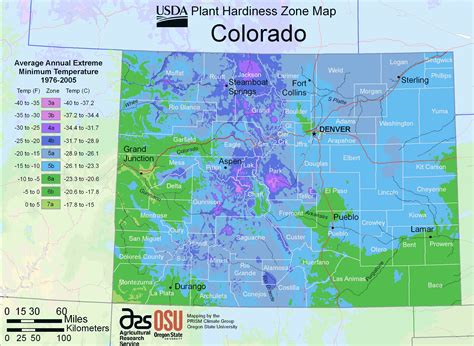 What Gardening Zone is Colorado? Exploring the Mysteries of Plant Hardiness and Beyond