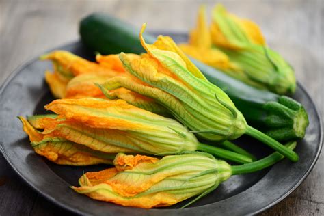 When to Pick Zucchini Flowers: A Guide to Timing and Culinary Delights